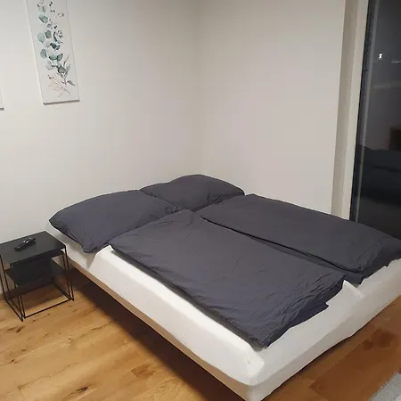 公寓 Little Alpenapart 沃尔德斯